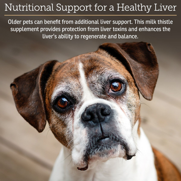 Rx Vitamins Hepato Liquid Liver Supplement for Dogs & Cat -Chicken Flavor (4 oz)