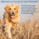 Rx Vitamins Hepato Liquid Liver Supplement for Dogs & Cat -Chicken Flavor (4 oz)-3