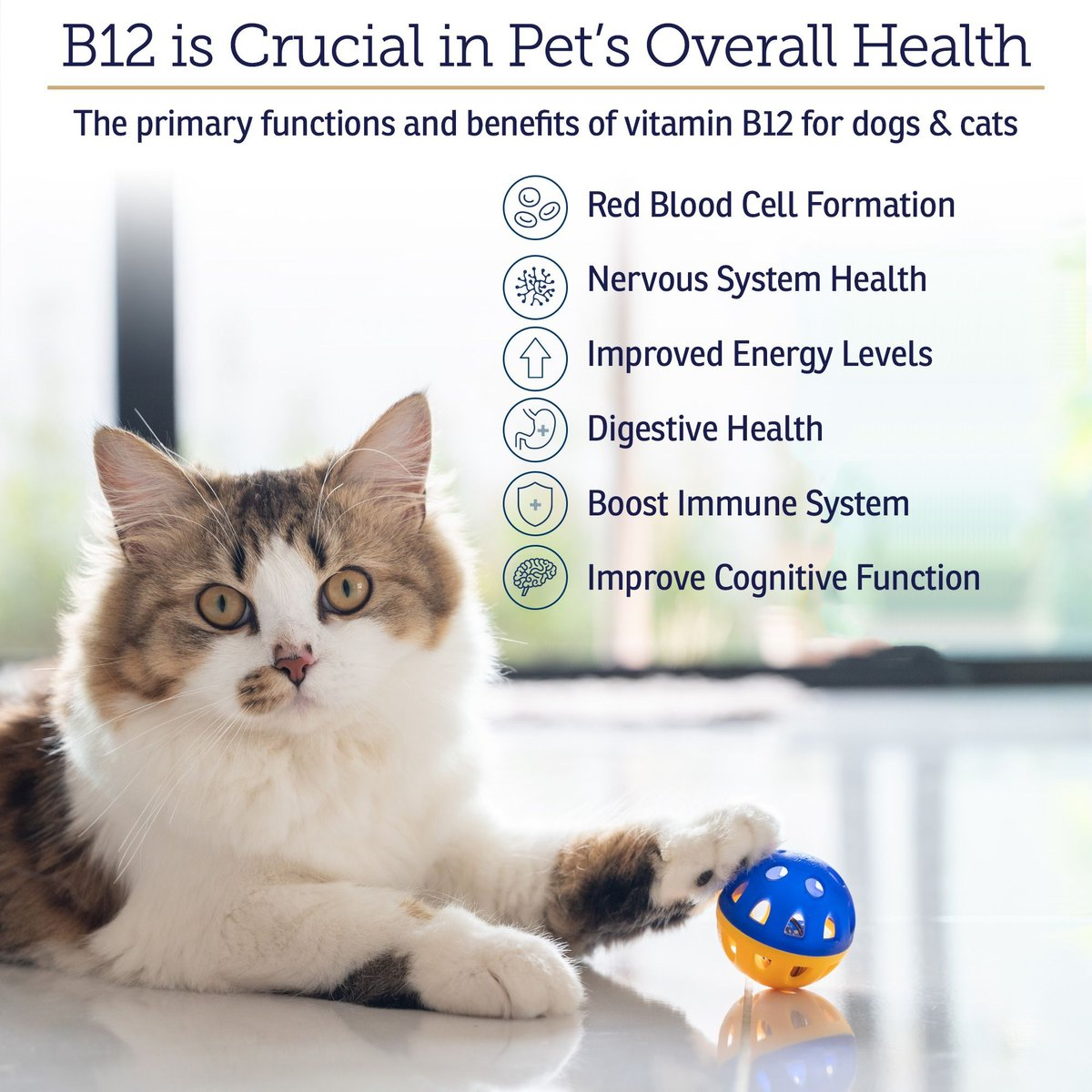 Rx Vitamins Rx B12 Liquid Digestive Supplement For Dogs and Cats (4 oz) - 0