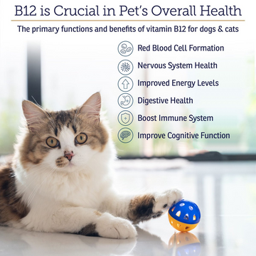 Rx Vitamins Rx B12 Liquid Digestive Supplement For Dogs and Cats (4 oz) - 0