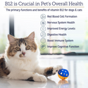 Rx Vitamins Rx B12 Liquid Digestive Supplement For Dogs and Cats (4 oz)