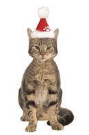 Pets Christmas Santa Hat - Various Colors-3