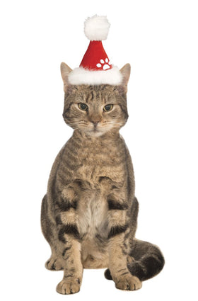 Buy red Pets Christmas Santa Hat - Various Colors