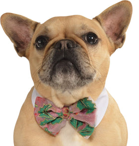 Buy poinsettia Pets Bow Tie Costume - Various Colors