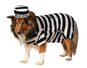 Pet Prisoner Costume