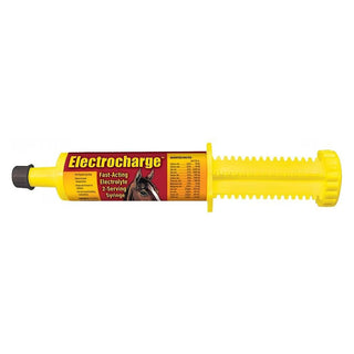 Finish Line Electrocharge Electrolyte Paste Horse Supplement (60 cc)