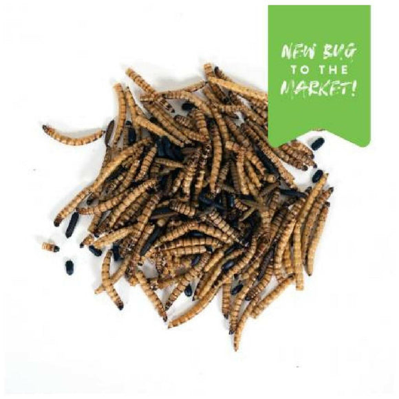 Manna Pro Superworm Swarm Poultry Treat Mix (30 oz)