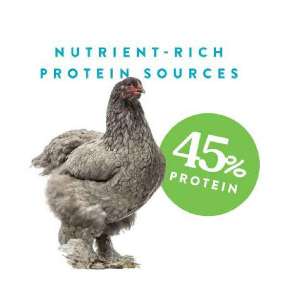 Manna Pro Superworm Swarm Poultry Treat Mix (30 oz)