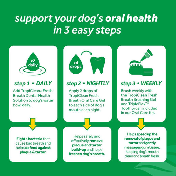 Tropiclean Fresh Breath Oral Car Clean Teeth Peanut Butter Flavored Gel for Dogs