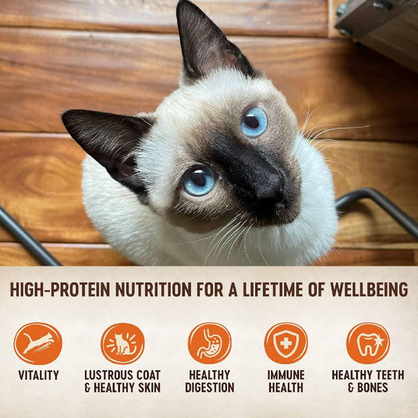Wellness CORE Tiny Tasters Grain-Free Smooth Pate Duck Wet Food for Cats (1.75 oz x 12 pouches)