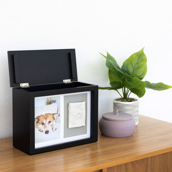 Black photo box with a lid on a wooden surface next to a plant