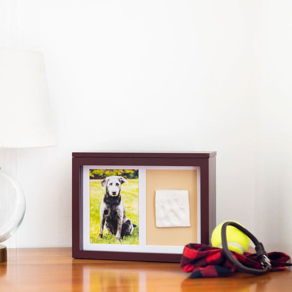 Framed photo of a dog on a table with a tennis ball and dog toy.
