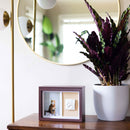 Decorative frame with a cat photo and paw print next to a potted plant on a wooden surface.