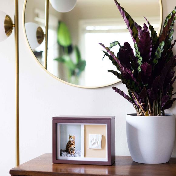 Decorative frame with a cat photo and paw print next to a potted plant on a wooden surface.