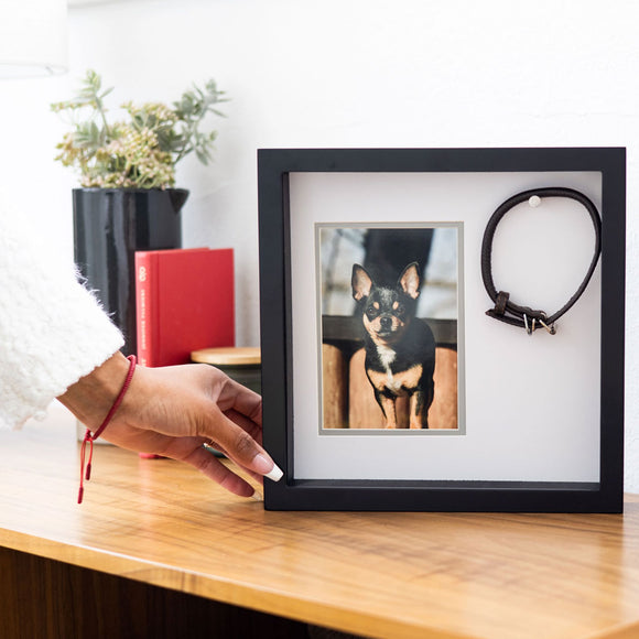 Framed picture of a dog with a black frame on a wooden surface, with a hand reaching towards it.