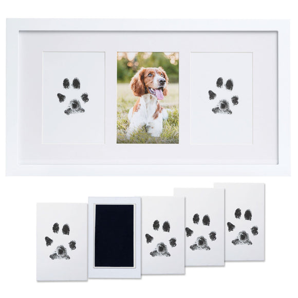 White photo frame with paw print pads and a photo of a dog.