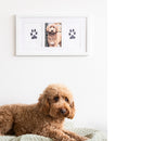 Dog lying on a bed with a framed photo of itself on the wall above.
