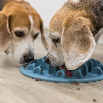 Trixie Dog Slow Feeding Pilars Mat