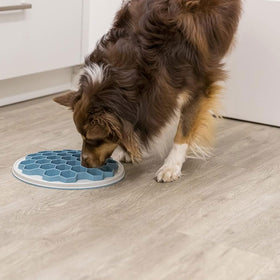 Trixie Dog Slow Feeding Hive Plate