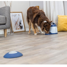 Trixie Dog Activity Memory Trainer 3.0