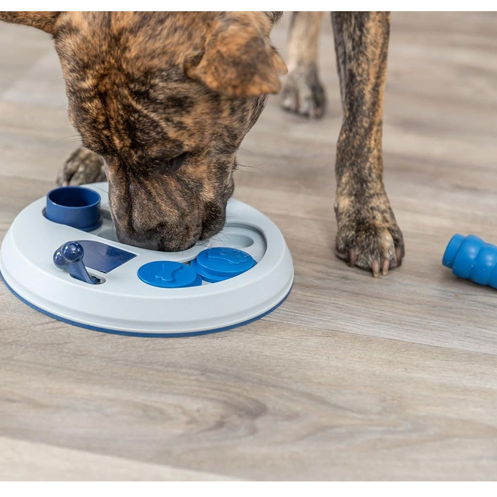 Interactive Dog Puzzle | Trixie Hide N Slide with Sliding Treat Covers