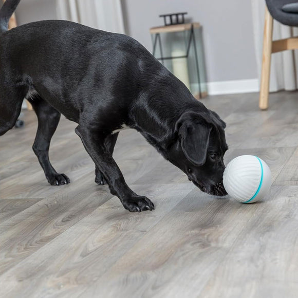 Trixie Dog Treat Tumbler Snack Ball Level 1 Puzzle