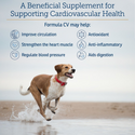 Rx Vitamins Formula CV For Dogs and Cats (90 caps)