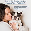 Rx Vitamins Cranberry Rx For Dogs and Cats (90 caps)-4