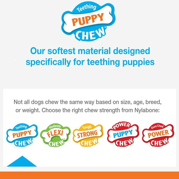 Nylabone Puppy Pacifier Teething Chew Bacon Flavored Dog Toy