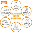 Nylabone Puppy Pacifier Teething Chew Bacon Flavored Dog Toy