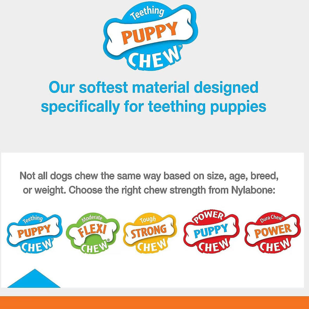 Nylabone Puppy Rubber Teether Vanilla Flavor