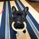 Nylabone Ring Dura Chew Power Chew Original Flavored Dog Toy, Large-2