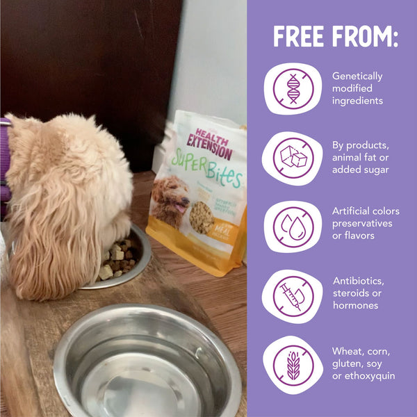 Health Extension Freeze-Dried Raw Mixer-Topper-Treat Chicken Recipe for Dogs