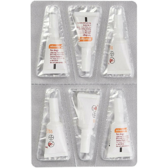 Advantage Multi 20.1-55 lbs, Red 6 month