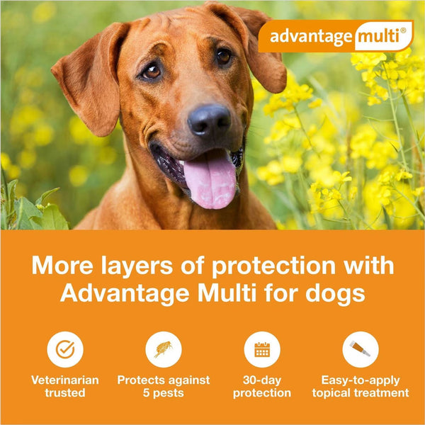 Advantage Multi Topical Solution for Dogs 3-9 lbs, Green