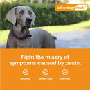 Advantage Multi 88.1-110 lbs, Brown