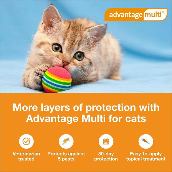 Advantage Multi for Cats, 2-5 lbs