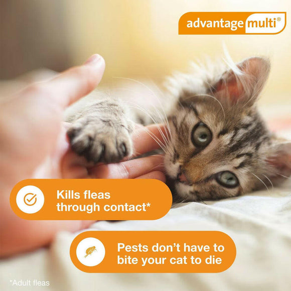 Advantage Multi for Cats, 2-5 lbs