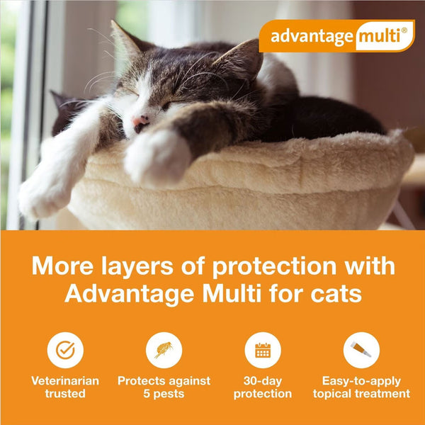 Advantage Multi for Cats 5.1-9 lbs