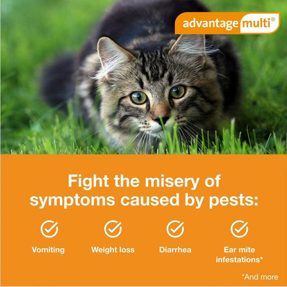 Advantage Multi  for Cats, 9.1-18 lbs