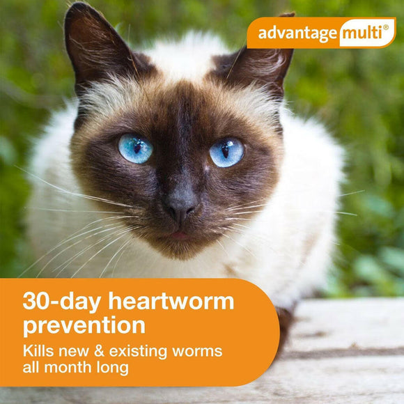 Advantage Multi  for Cats, 9.1-18 lbs