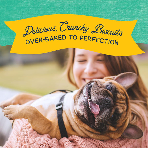 Natural Balance Rewards Crunchy Biscuits with Real Chicken Dog Treats