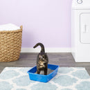 Van Ness Cat Litter Pan, Blue, Assorted Color