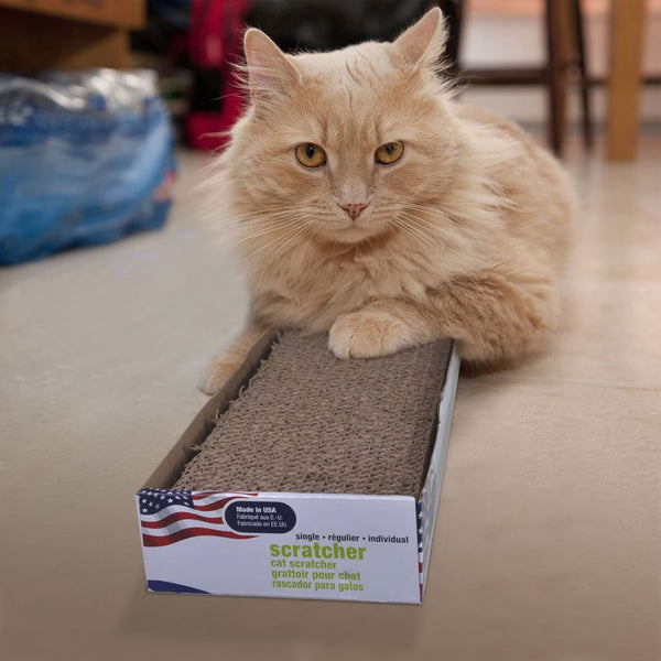 Van Ness Cat Scratcher Pad Toy with Catnip