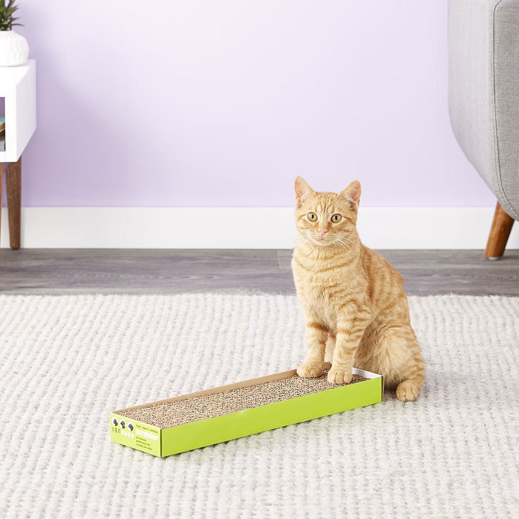 Van Ness Cat Scratcher Pad Toy with Catnip