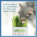 Pet Greens Garden Pet Grass Self-Grow Kit Organic Wheatgrass