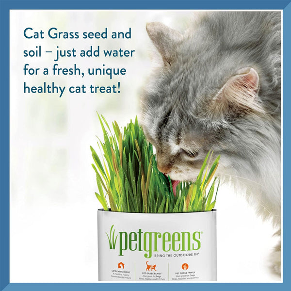 Pet Greens Garden Pet Grass Self-Grow Kit Organic Wheatgrass