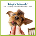 Pet Greens Li'l Treats Lamb Soft Mini Dog Treats