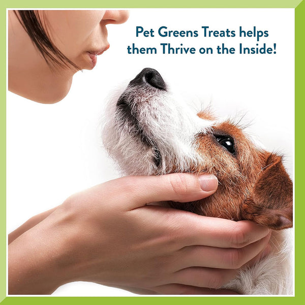 Pet Greens Li'l Treats Lamb Soft Mini Dog Treats