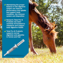 Ramard Total Pre & Probiotics Paste For Horse (30 cc)